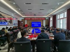 被告某生物无限公司许诺向被告王某分三